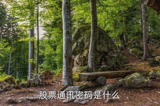 山西證券通訊密碼是什么，證券里面的通訊密碼是什么意思