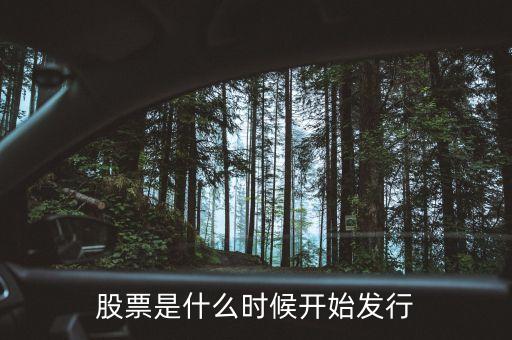 股票是什么時候開始發(fā)行