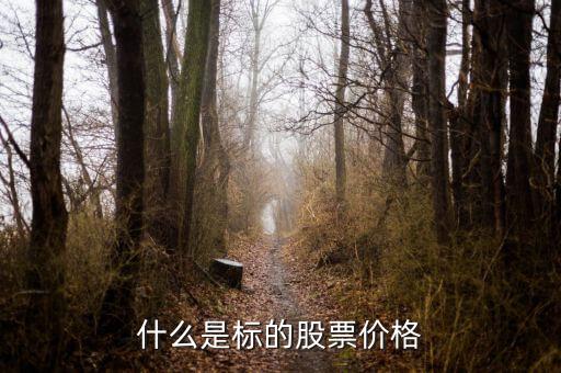 標的股是什么，融資融券標的股是什么意思