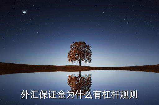 擔保杠桿是什么意思，外匯保證金為什么有杠桿規(guī)則