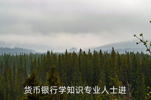 資產(chǎn)黑洞是什么意思，資金黑洞