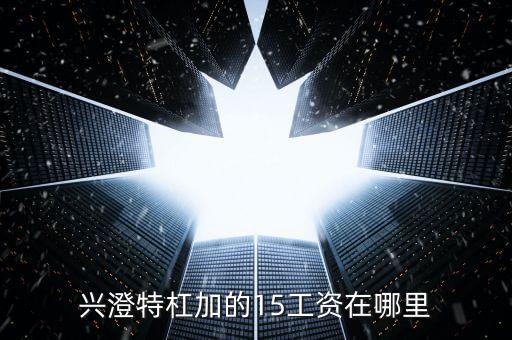 興澄特杠加的15工資在哪里