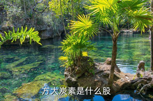 方大炭素什么板塊，方大炭素是什么股