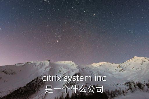 citrix system inc是一個什么公司