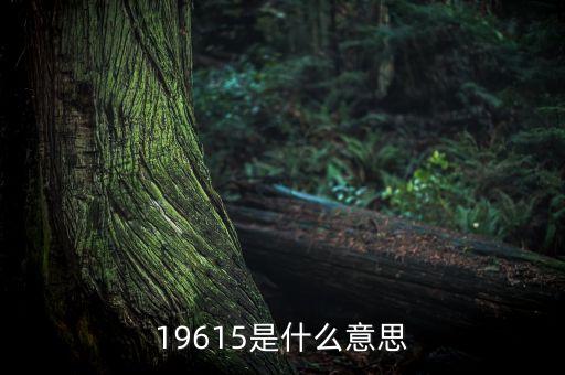 150035是什么，65520是什么意思
