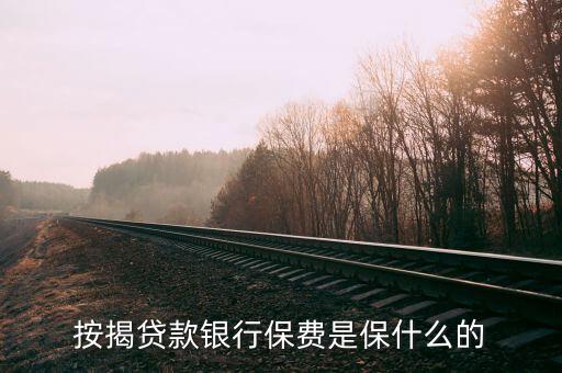 銀行的九險兩金是什么，按揭貸款銀行保費是保什么的