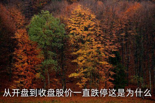 為什么開盤就跌停，從開盤到收盤股價一直跌停這是為什么