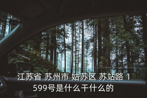 江蘇萬聯(lián)新兆做什么的，江蘇省 蘇州市 姑蘇區(qū) 蘇站路 1599號是什么干什么的