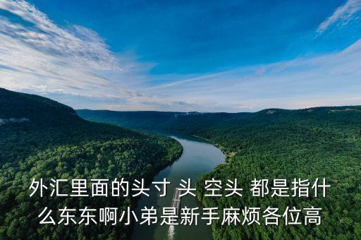 外匯里面的頭寸 頭 空頭 都是指什么東東啊小弟是新手麻煩各位高