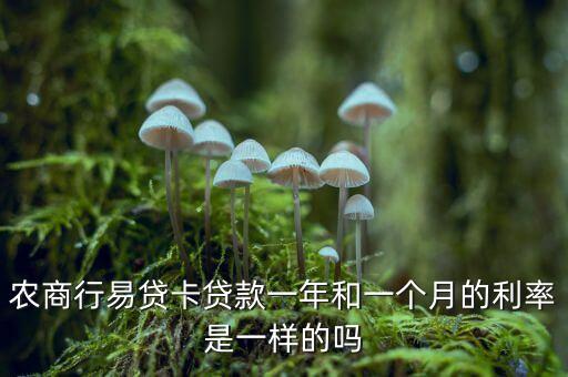 農(nóng)易貸是什么銀行，農(nóng)業(yè)易貸是真的嗎