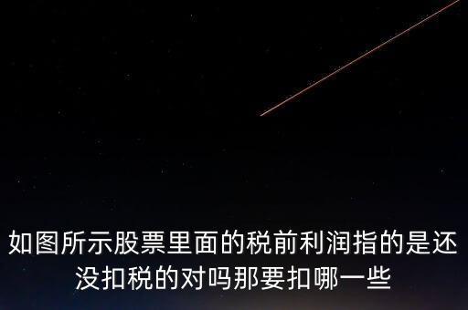 如圖所示股票里面的稅前利潤(rùn)指的是還沒扣稅的對(duì)嗎那要扣哪一些