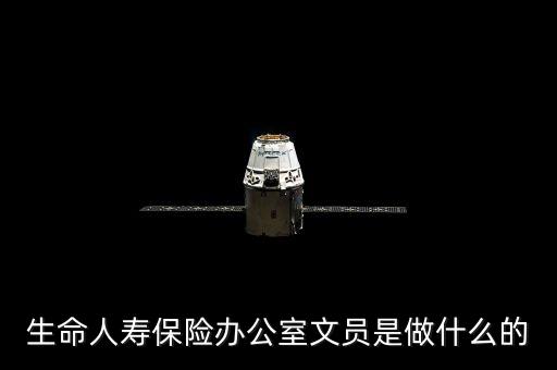 生命人壽保險辦公室文員是做什么的