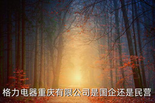 格力為什么是國企，格力是國企為什么董明珠有股份 身家那么多不是應(yīng)該是領(lǐng)年薪和分