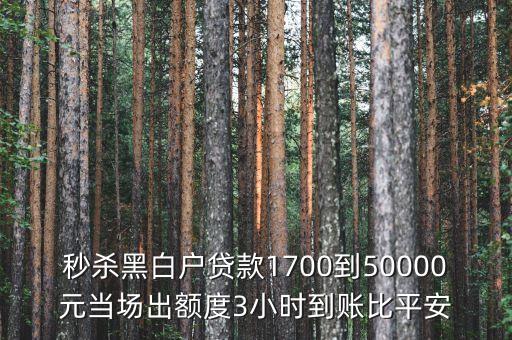 秒殺黑白戶貸款1700到50000元當(dāng)場出額度3小時(shí)到賬比平安