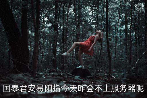 國泰君安易陽指今天咋登不上服務器呢