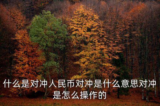 什么是對(duì)沖頭寸，什么是對(duì)沖人民幣對(duì)沖是什么意思對(duì)沖是怎么操作的