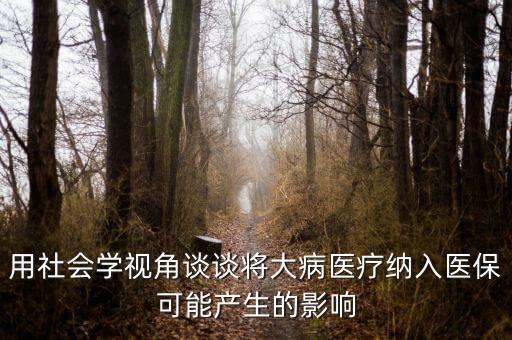 用社會(huì)學(xué)視角談?wù)剬⒋蟛♂t(yī)療納入醫(yī)?？赡墚a(chǎn)生的影響