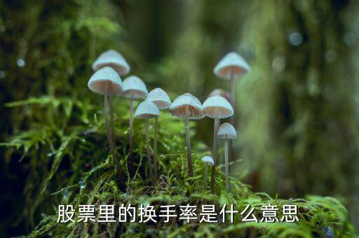 股票中換手率什么意思，股票里面的換手率是什么意思