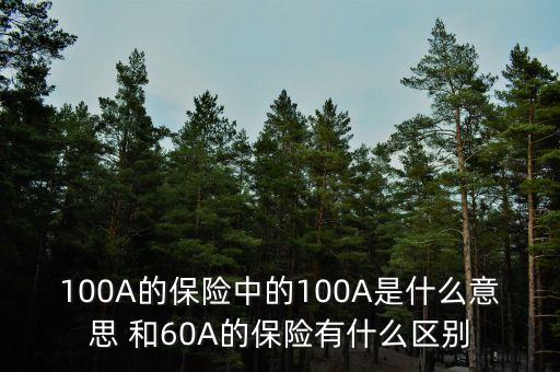 100A的保險中的100A是什么意思 和60A的保險有什么區(qū)別