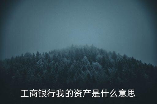 工行我的資產(chǎn)是什么，工商銀行手機(jī)銀行我的資產(chǎn)是什么意思還有怎么消費(fèi)過(guò)后里面的錢