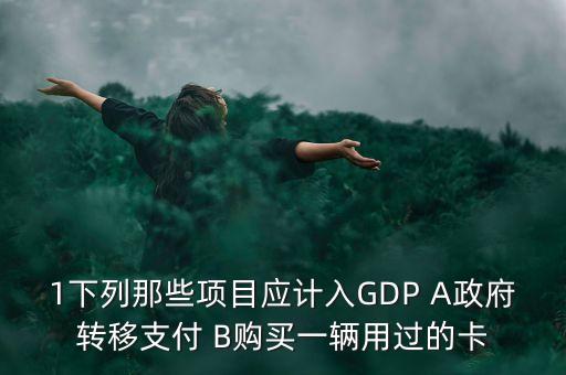 1下列那些項目應計入GDP A政府轉移支付 B購買一輛用過的卡