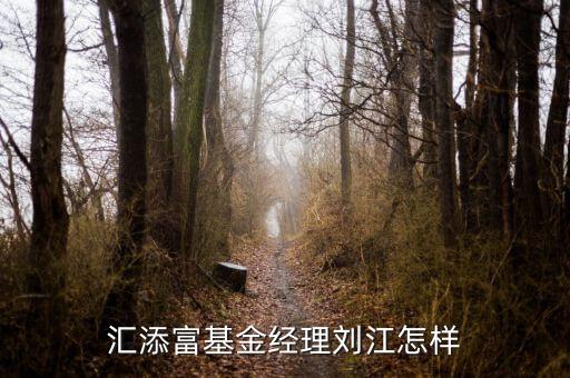 匯添富基金經(jīng)理劉江怎樣