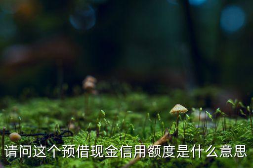 什么叫預(yù)借現(xiàn)金額度，請(qǐng)問(wèn)這個(gè)預(yù)借現(xiàn)金信用額度是什么意思
