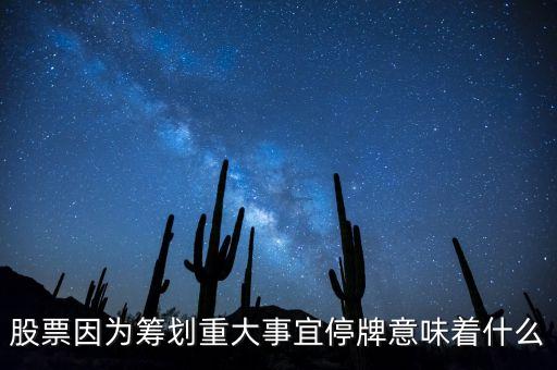 股票因?yàn)榛I劃重大事宜停牌意味著什么