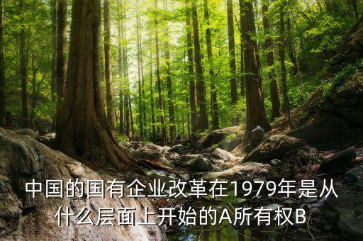 央企改革什么時(shí)候開(kāi)始，今年央企重組什么時(shí)候開(kāi)始