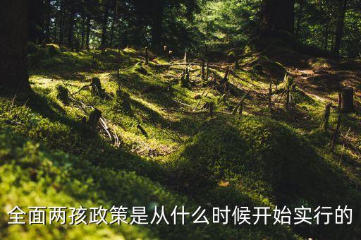 什么時候?qū)嵭腥鎯珊ⅲ鎯珊⒄呤菑氖裁磿r候開始實行的