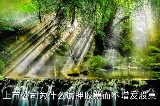 上市公司為什么質(zhì)押股票而不增發(fā)股票