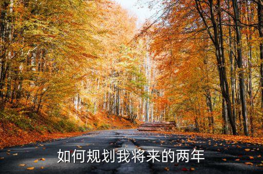 如何規(guī)劃我將來(lái)的兩年