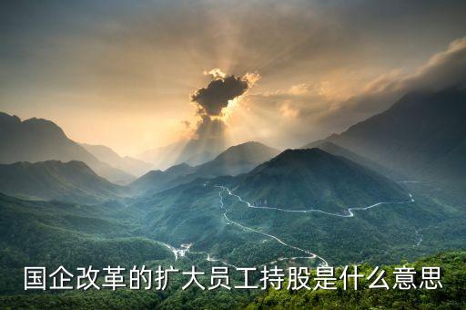 國(guó)企改革的擴(kuò)大員工持股是什么意思