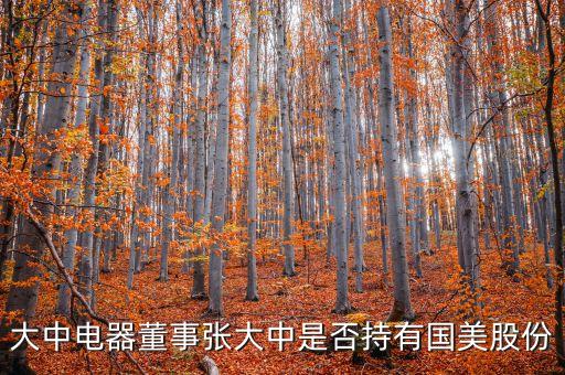 陳曉最終為什么辭職，大中電器董事張大中是否持有國美股份