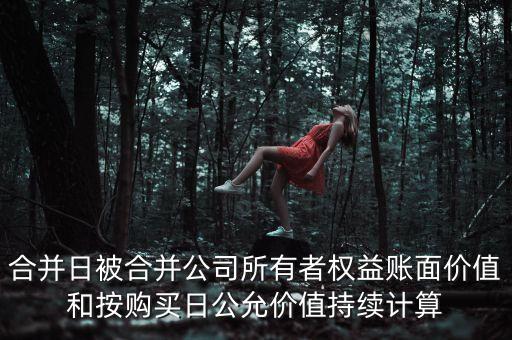 合并日被合并公司所有者權(quán)益賬面價值和按購買日公允價值持續(xù)計算