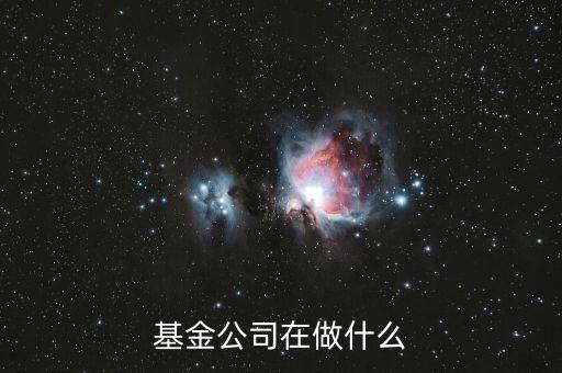 基金公司可以做什么，基金公司在做什么