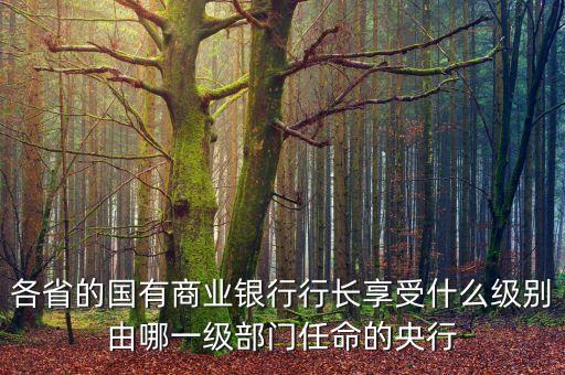 區(qū)銀行行長是什么級別，中國人民銀行行長相當(dāng)于什么行政級別