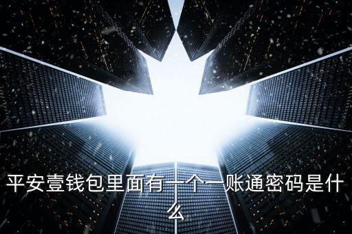 平安壹錢(qián)包里面有一個(gè)一賬通密碼是什么