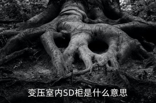 授軍旗為什么在室內(nèi)，變壓室內(nèi)SD柜是什么意思