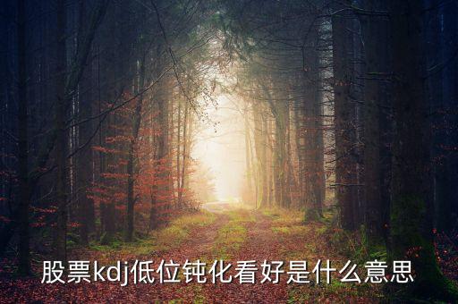 股票kdj低位鈍化看好是什么意思