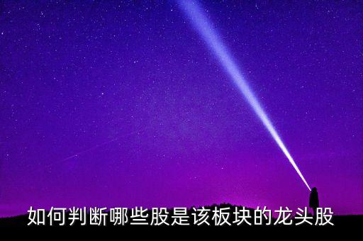 什么叫板塊龍頭股，如何判斷哪些股是該板塊的龍頭股