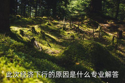 此次經(jīng)濟(jì)下行的原因是什么專業(yè)解答