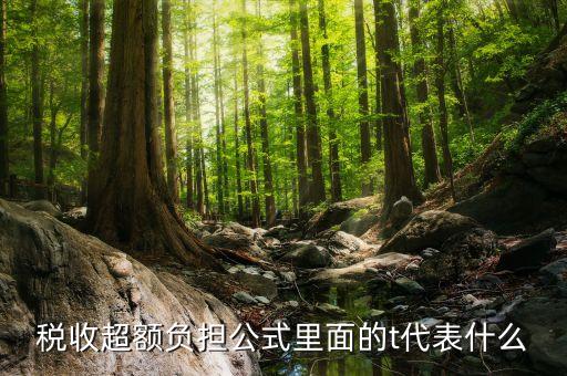 t在經(jīng)濟中表示什么，高手新人求解答宏觀經(jīng)濟學(xué)中的G和T代表神馬