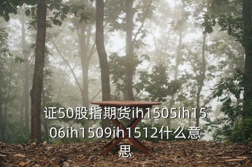 上證1511和1512什么意思，證券if1512是什么意思