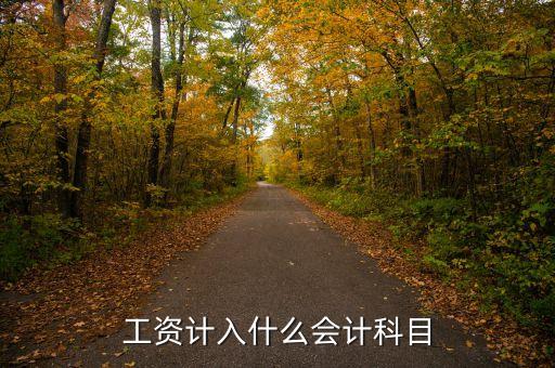 工資計(jì)入什么會計(jì)科目