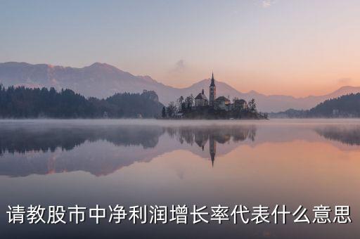 請教股市中凈利潤增長率代表什么意思