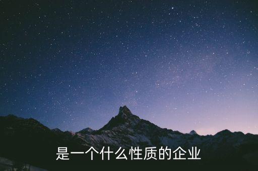 是一個什么性質(zhì)的企業(yè)