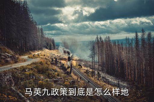 馬英九送習(xí)什么禮，馬英九的歲數(shù)代表什么生肖