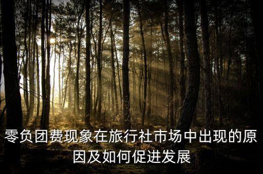 零負團費現(xiàn)象在旅行社市場中出現(xiàn)的原因及如何促進發(fā)展