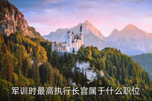 執(zhí)行長是什么職位，軍訓時最高執(zhí)行長官屬于什么職位
